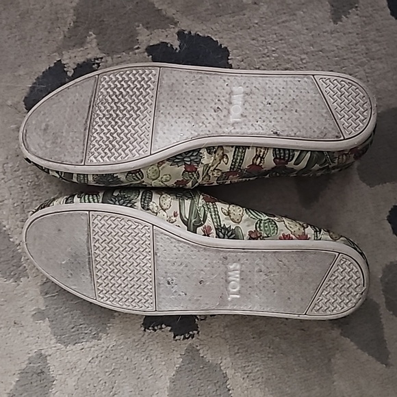 Cacti Toms Alpargata - Picture 4 of 4